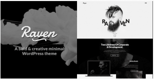 raven: Minimalist WordPress Theme