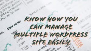 Multiple WordPress Site