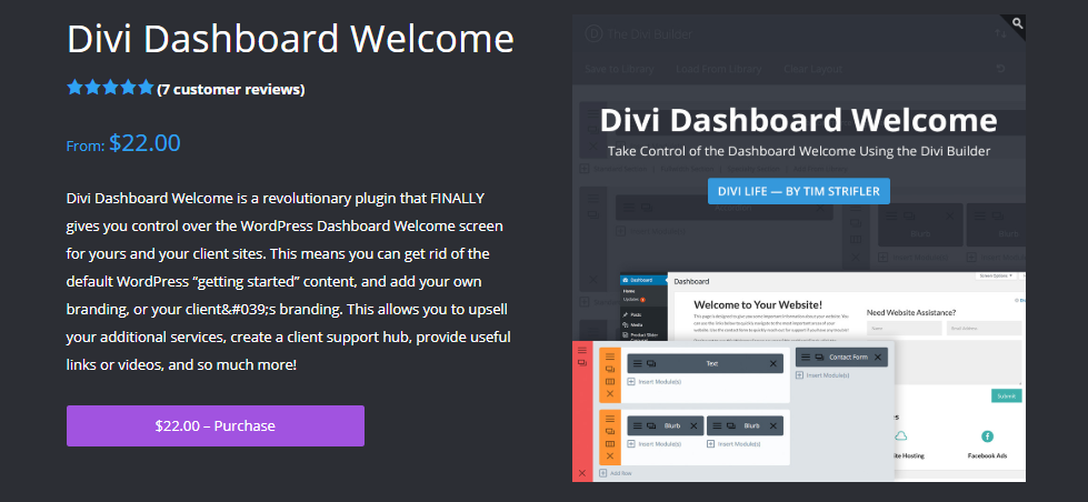 WordPress divi plugin