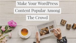 WordPress Content