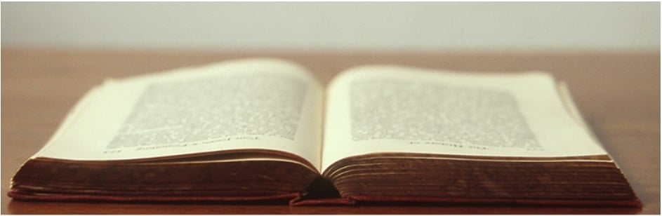 WordPress citation plugins