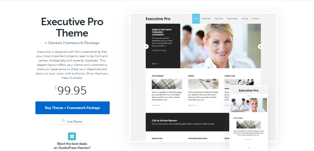 executive pro Insurance WordPress Themes executive pro Insurance WordPress Themes