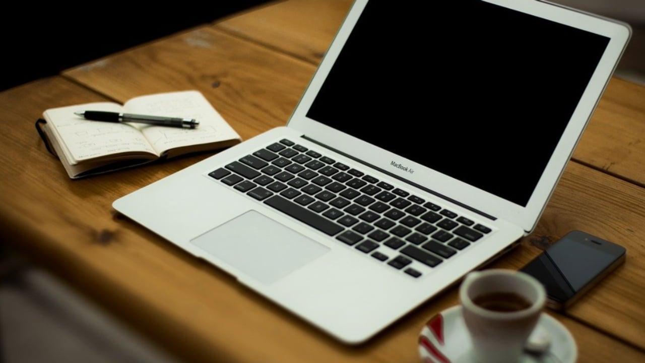 WordPress Christmas And New Year Deals