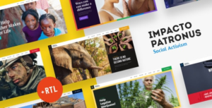 Social Activity WordPress Themes