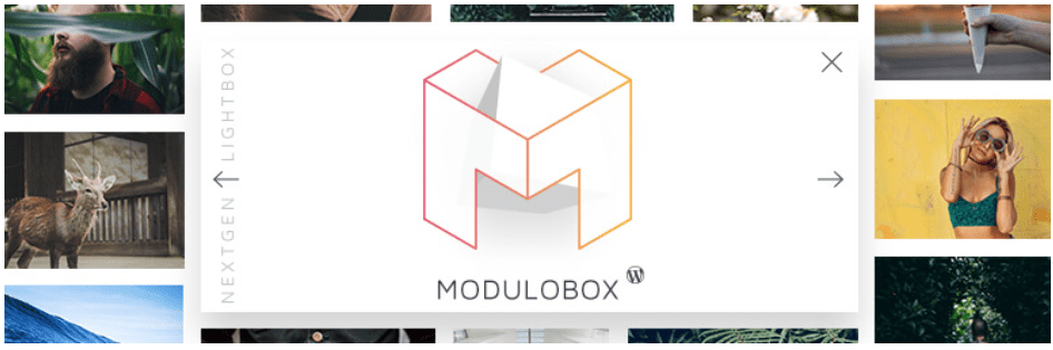 ModuloBox