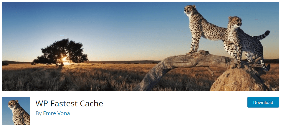 WP Fastest Cache plugin