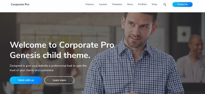 WordPress Themes for Agencies