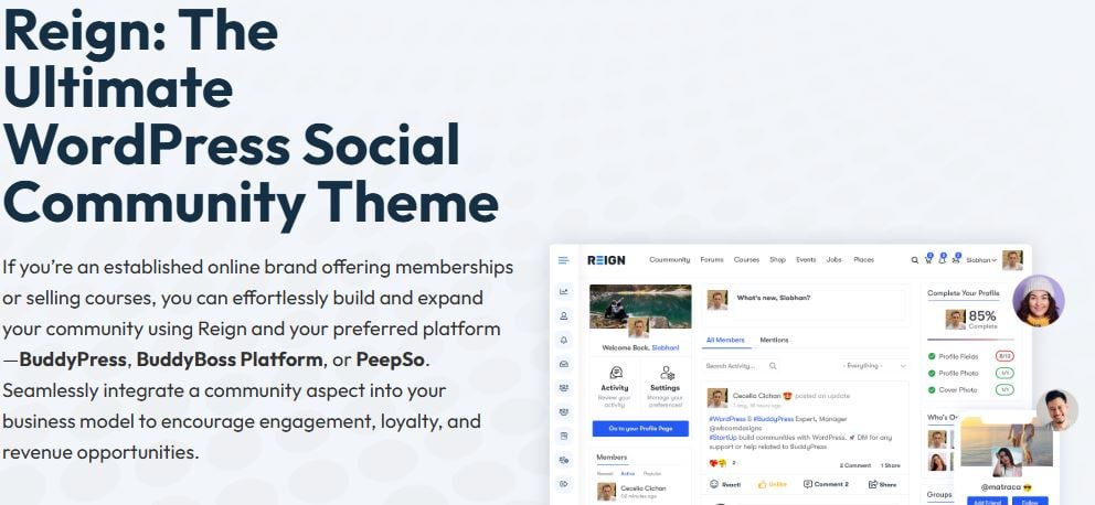WordPress Themes for Agencies