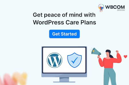 Wordpress Customization Service