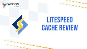 LiteSpeed Cache Review