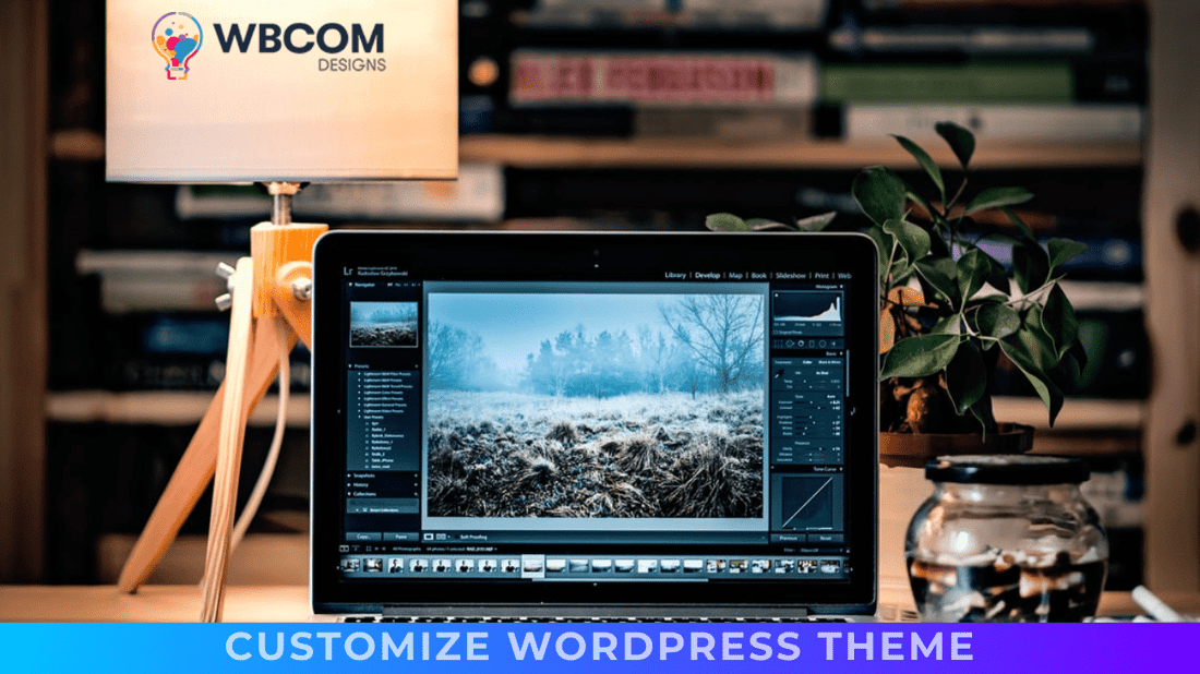 Customize WordPress Theme