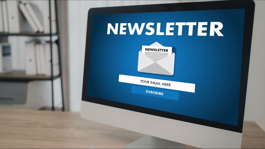 Newsletter WordPress Plugin