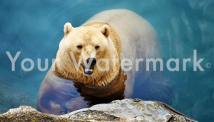 watermark_image-theft watermark_image-theft