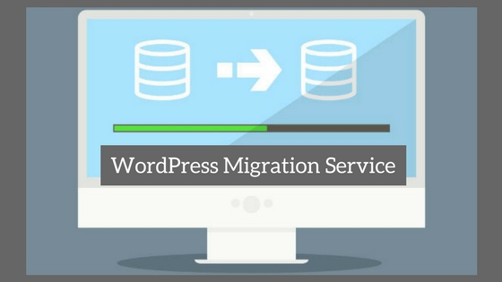 WordPress Migration Service image