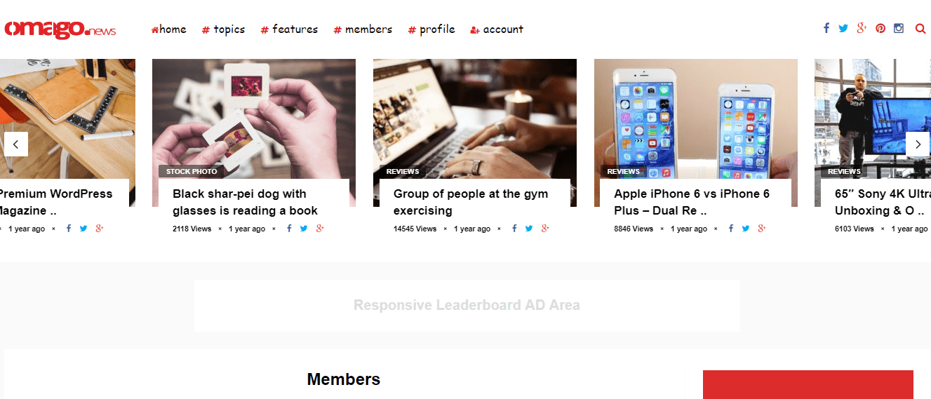 WordPress Membership Themes