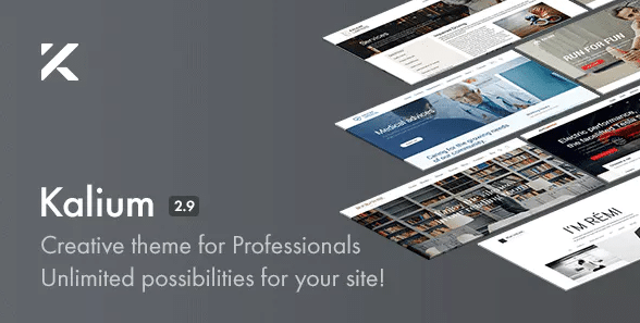 Handpicked WooCommerce wordpress Themes for Your WordPress Site Kalium Creative Theme for Professionals