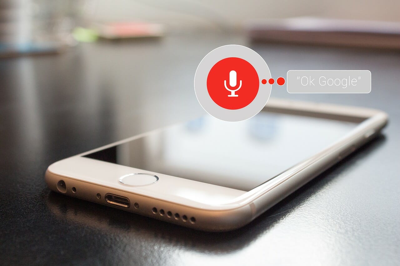 voice search- Future Of eCommerce