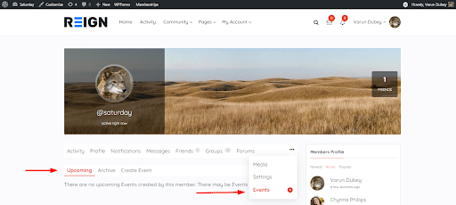 BuddyPress Simple Events Plugin Review