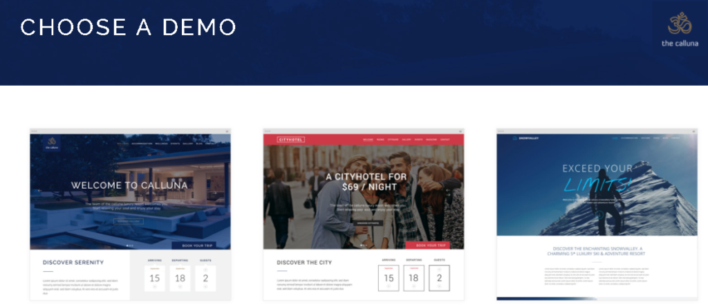 Booking WordPress Themes