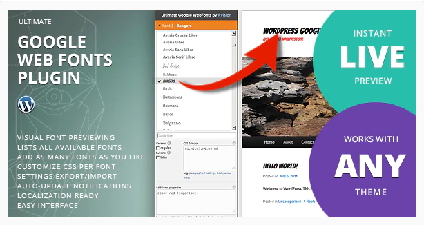 Best Web Fonts Manager WordPress Plugins