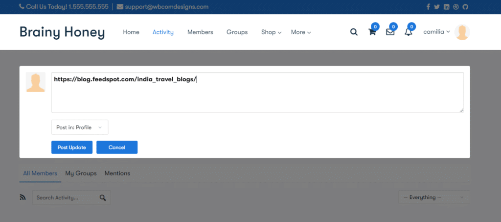 Can I add links from any website? 1 image.4 12 - Wbcom Designs