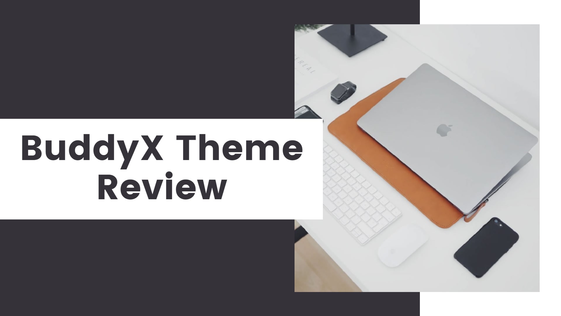 BuddyX Theme Review: An Ideal Free Social Membership Theme