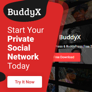 BuddyX