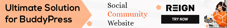social community WordPress website