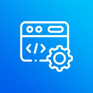 WordPress Customization Services​