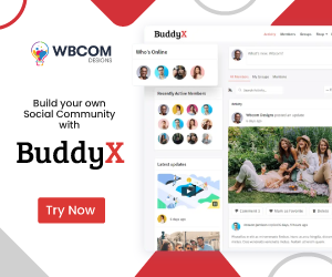 Followed Link Mastery: 10 Proven Ways to Boost Your SEO in 2025 36 FreeSocialNetworkingThemeforWordPress