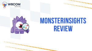 MonsterInsights Review