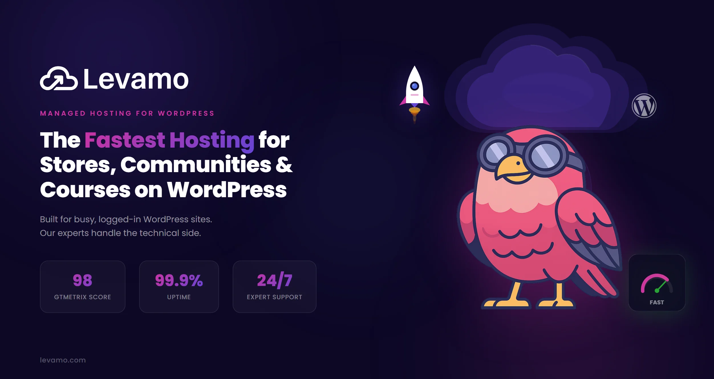 Levamo managed WordPress hosting review banner for BuddyNext community sites