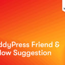 BuddyPress follow button